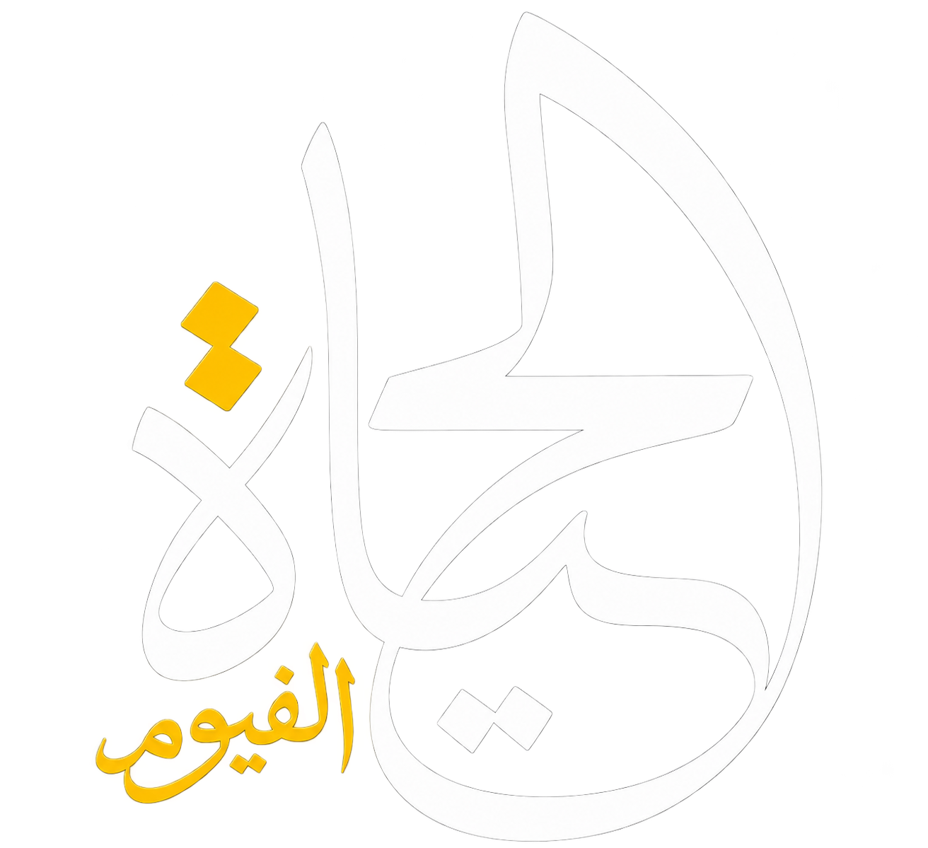 مورد 11