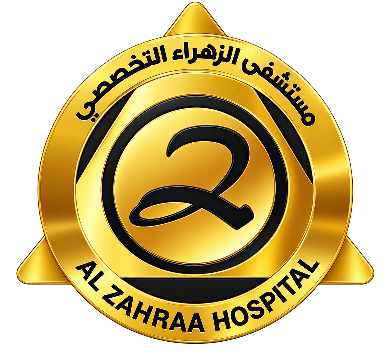 مورد 6